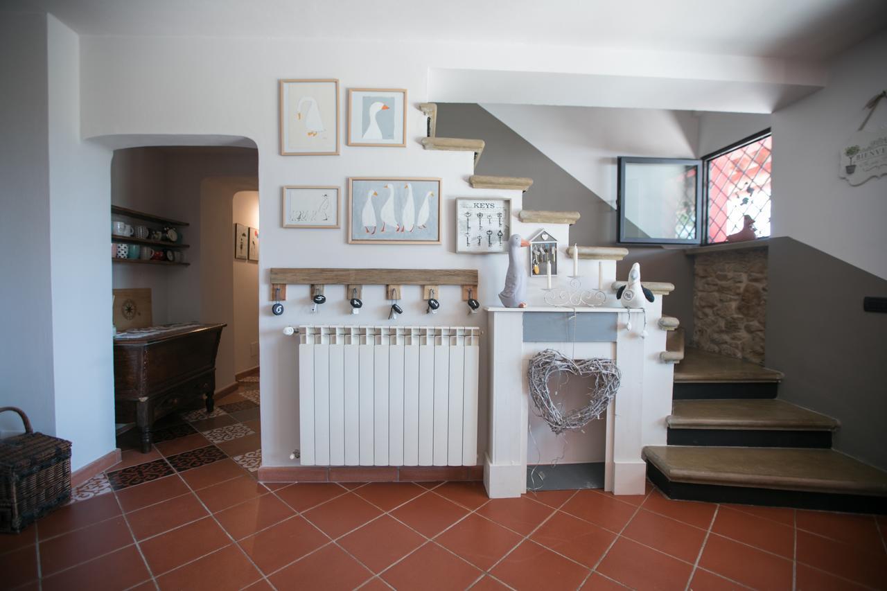 B&B Ocagiuliva Riparbella Εξωτερικό φωτογραφία